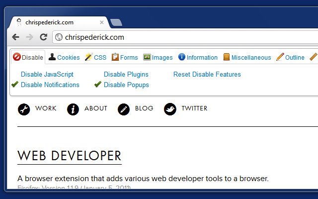 interface de l'extension web developer