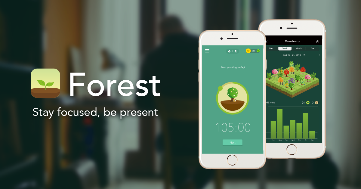 application mobile forest pour la productivité et concentration